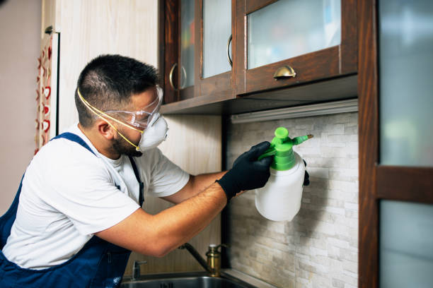 Best Pest Removal Services  in Sykesville, MD