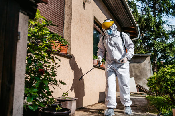Best Wasp Removal Services  in Sykesville, MD