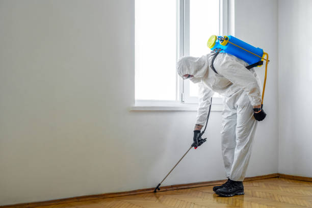 Best Pest Control for Restaurants  in Sykesville, MD