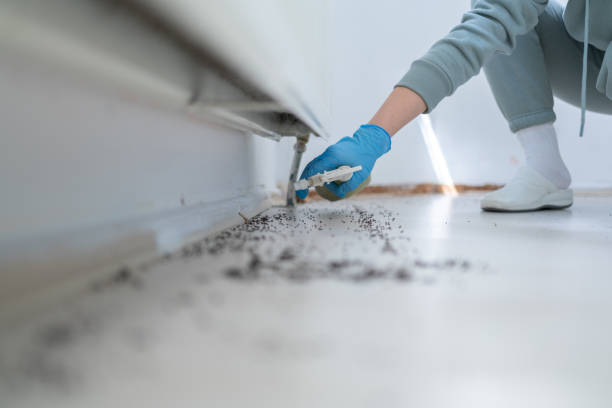 Pest Control for Restaurants in Sykesville, MD